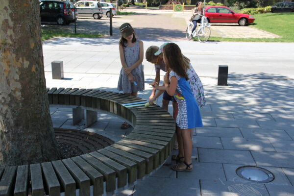 img_3622_36260077265_l